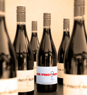 dieburgundermacher_pinotnoir